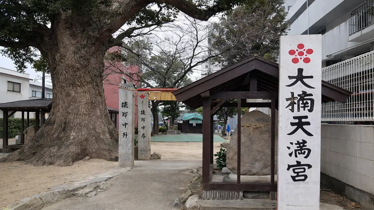 福岡大楠神社 巨樹本庄の大楠とは？行く前に知りたい見どころと魅力