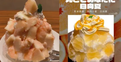 福岡の人気かき氷店 純氷ゆきんこ