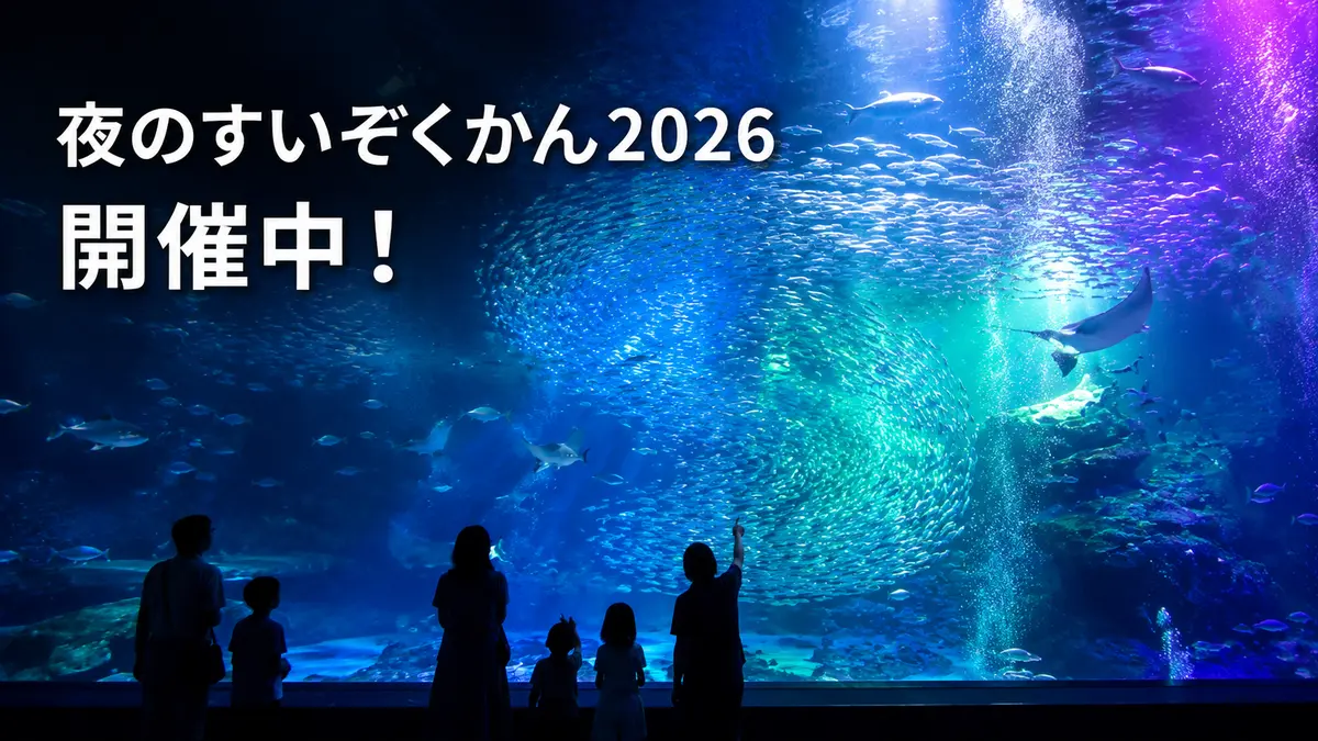 マリンワールド夜のすいぞくかん2026｜9月の開催日・料金まとめ