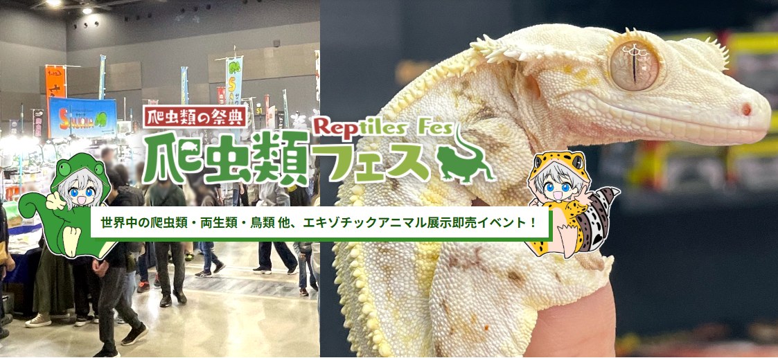 九州爬虫類フェス2026 Autumn｜10月31日・11月1日マリンメッセ福岡開催、料金・見どころまとめ